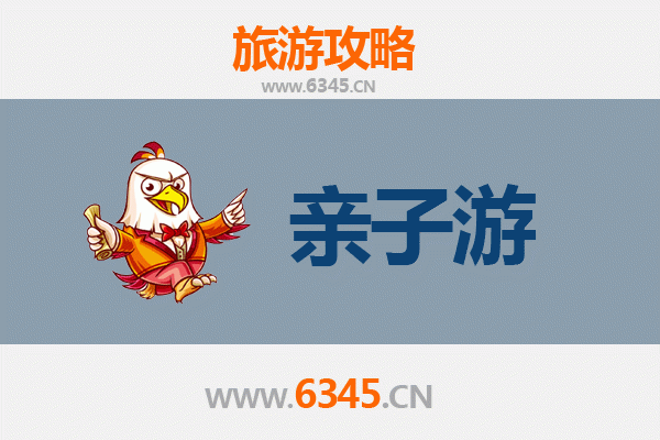 台北内湖亲子游攻略：自然探索与趣味体验的完美结合